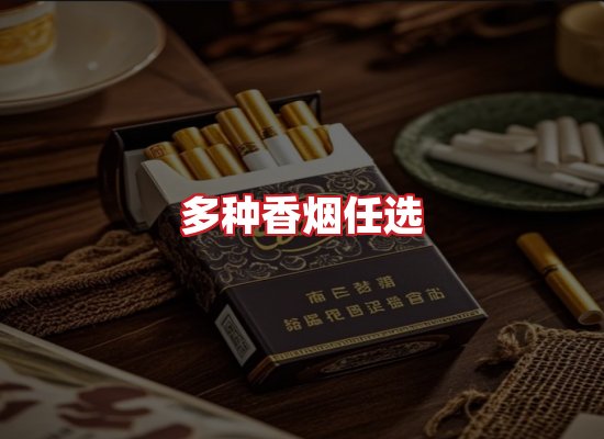 专业团队